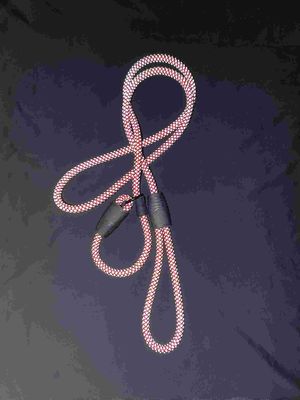 Ceinture réfléchissante pour animaux de compagnie pour les activités en plein air Gardez votre animal en sécurité et visible