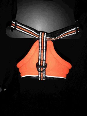 Des vêtements de protection essentiels pour votre compagnon à fourrure